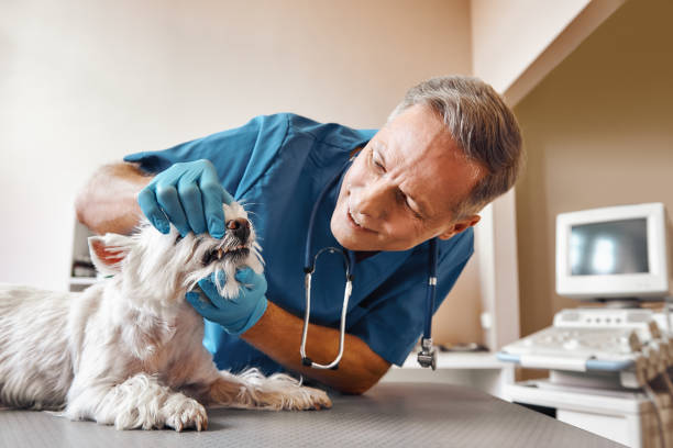 Best Weekend Emergency Dentist in Rineyville, KY